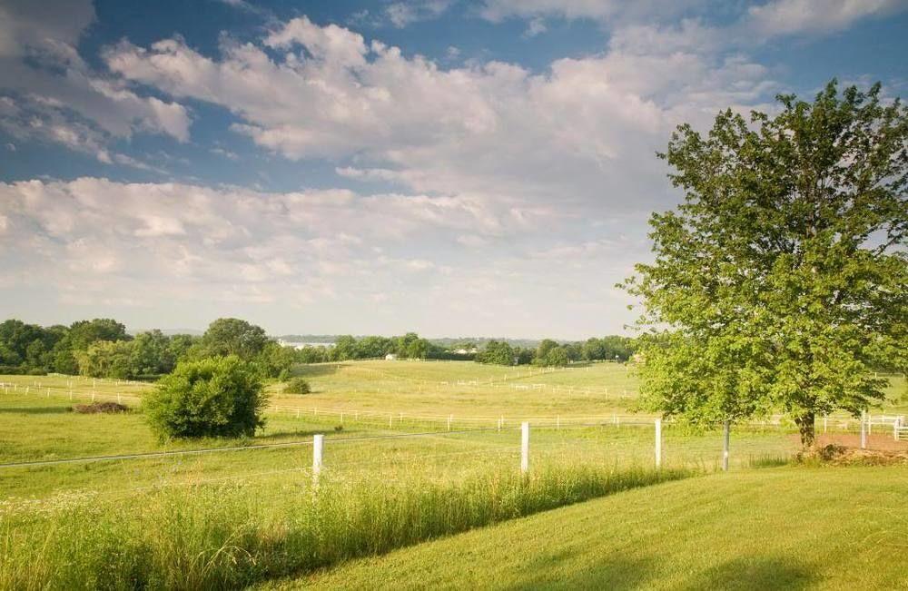 Bed and breakfast The At Westwynd Farm 4*